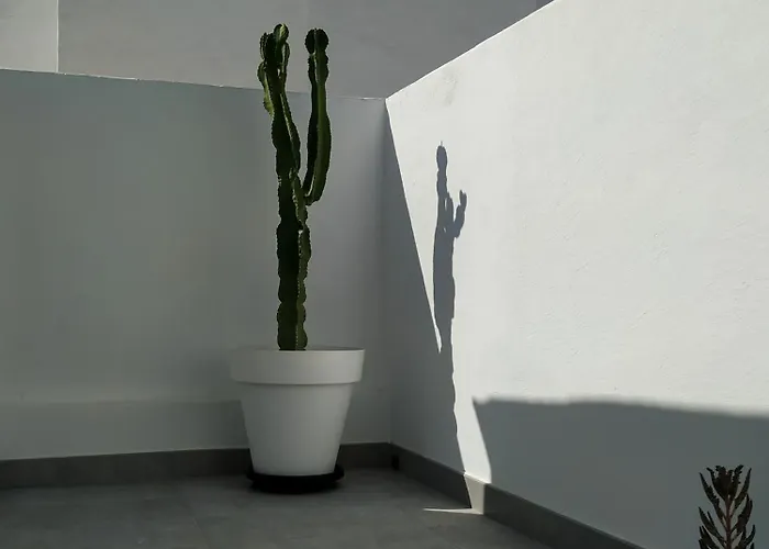 Casa Oceanica - Lanzarote 卡门港